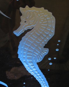 seahorse